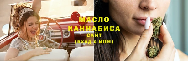 мдпв Новозыбков