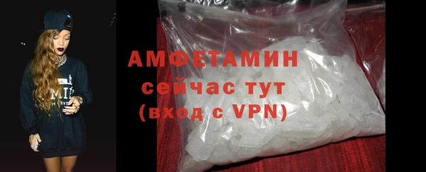 мдпв Новозыбков