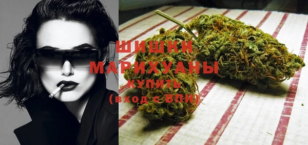 стафф Дрезна