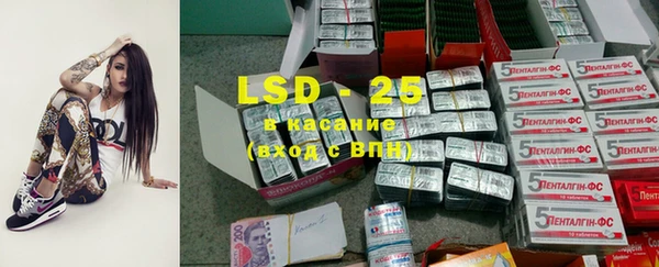 mdpv Новодвинск