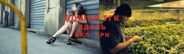 мдпв Новозыбков