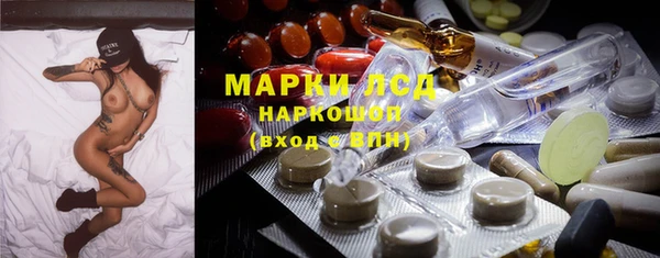 мдпв Новозыбков