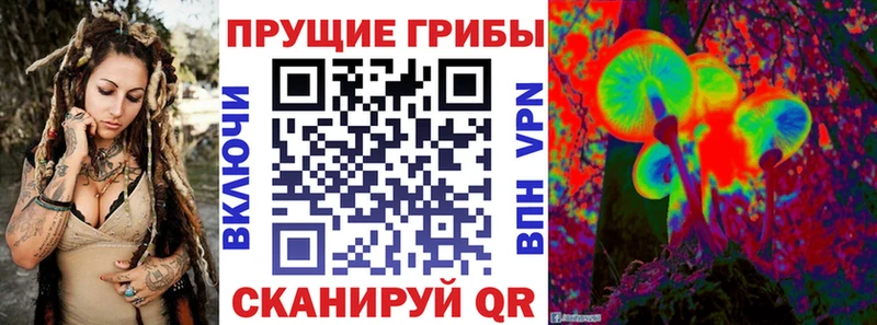 Галлюциногенные грибы MAGIC MUSHROOMS  Зерноград 