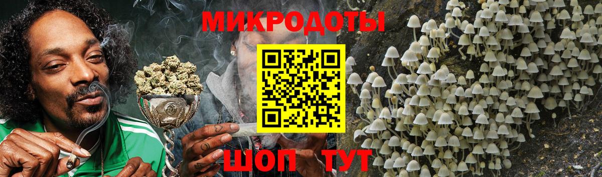 Зерноград  Псилоцибиновые грибы Magic Shrooms  Псилоцибиновые грибы ЛСД  Вход с VPN 
