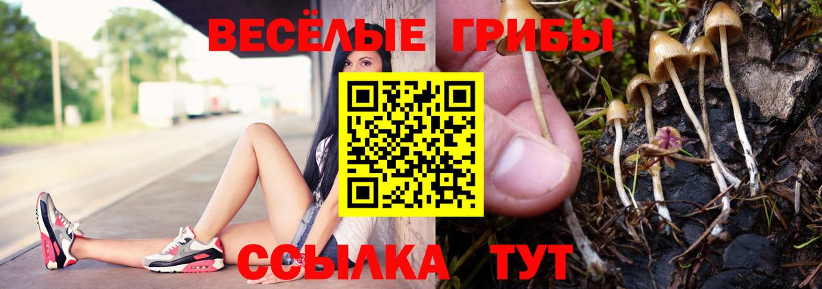Галлюциногенные грибы мухоморы Зерноград