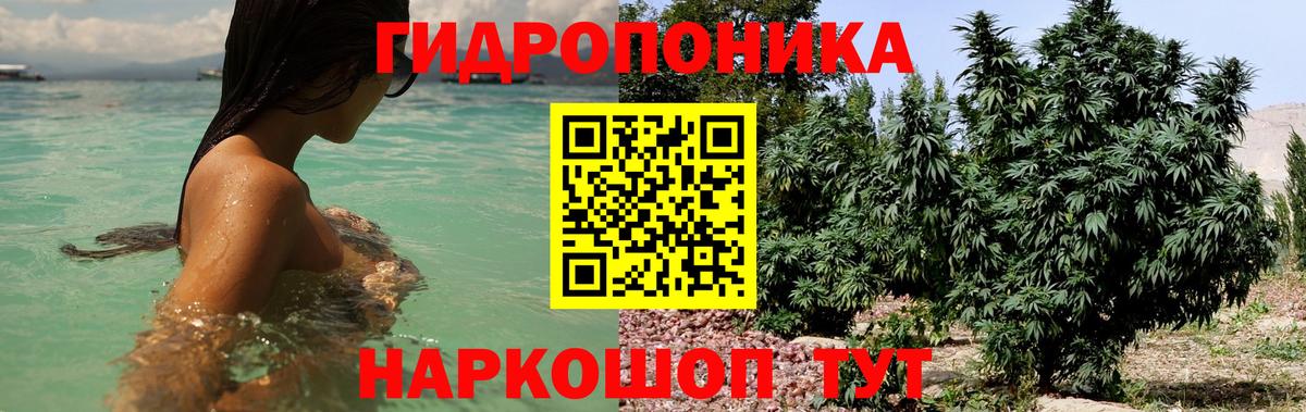 Конопля сатива  Бошки марихуана тримм  Бошки Шишки Bruce Banner  Вход с VPN  Зерноград 